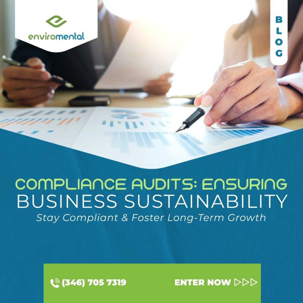 Compliance audits: Ensuring business sustainability