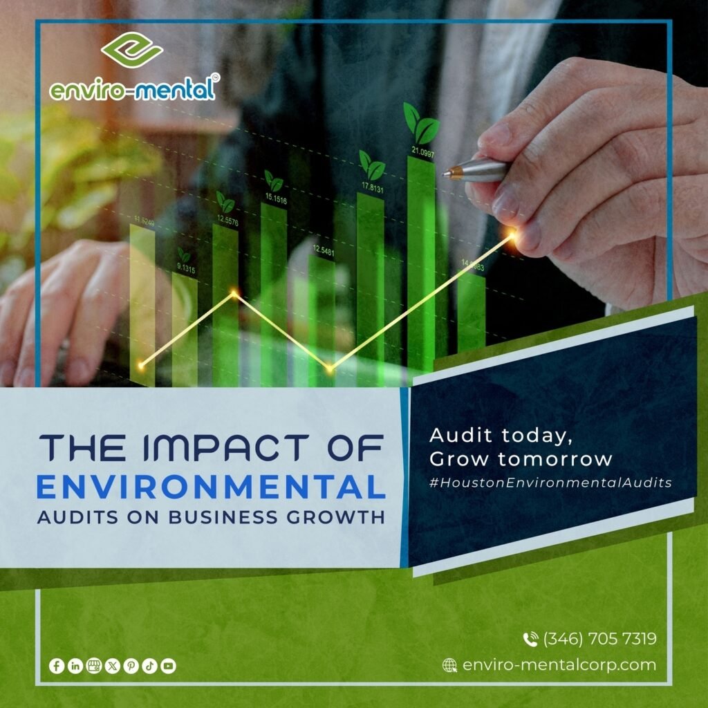 The impact of environmental audits on business growth