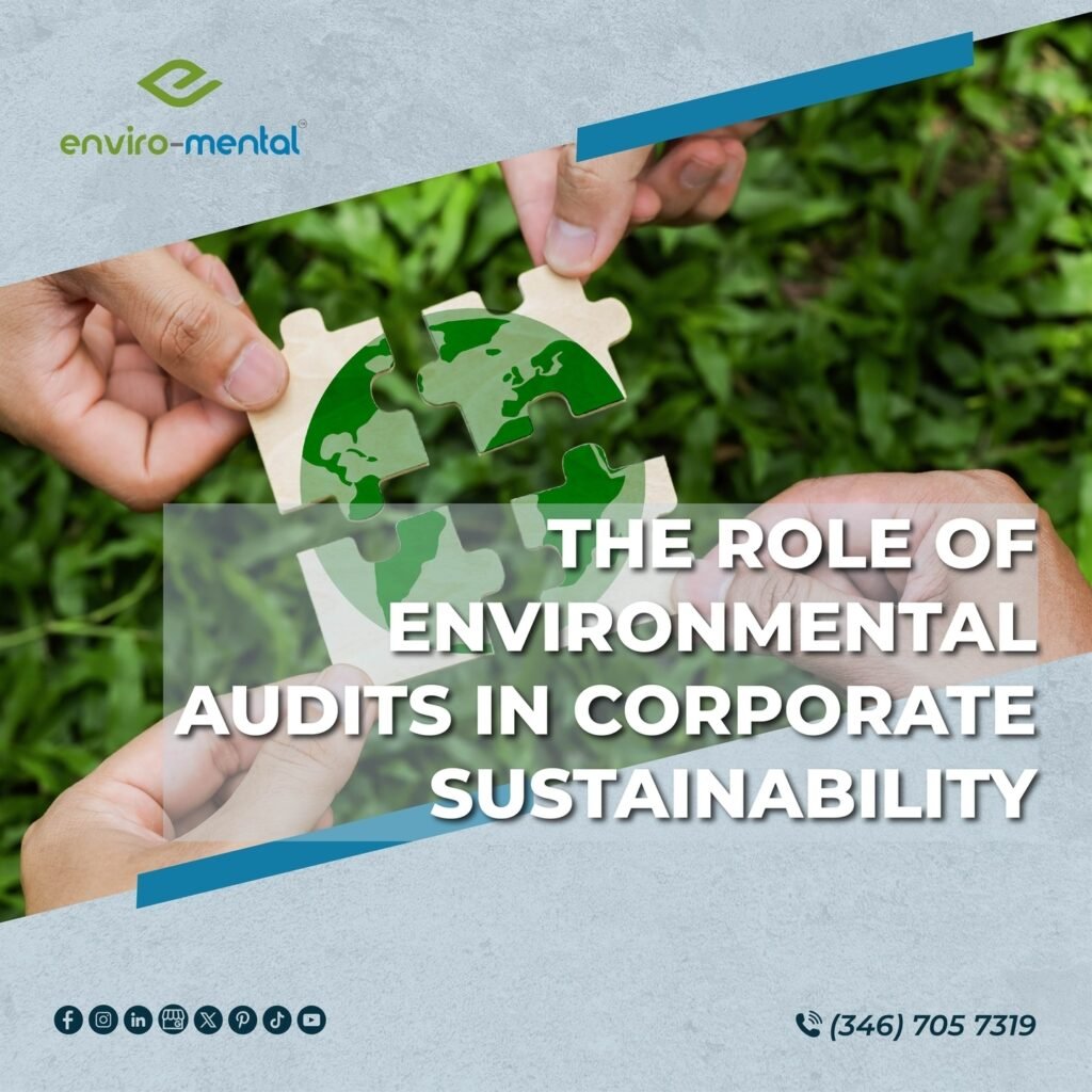 The role of environmental audits in corporate sustainability